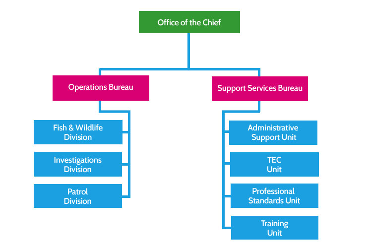 Tulalip Police Department office of chief organization chart. 
